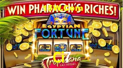 Estatísticas do Jogo Ci7